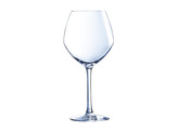 Cabernet young wines