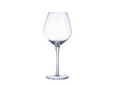 Cabernet young wines